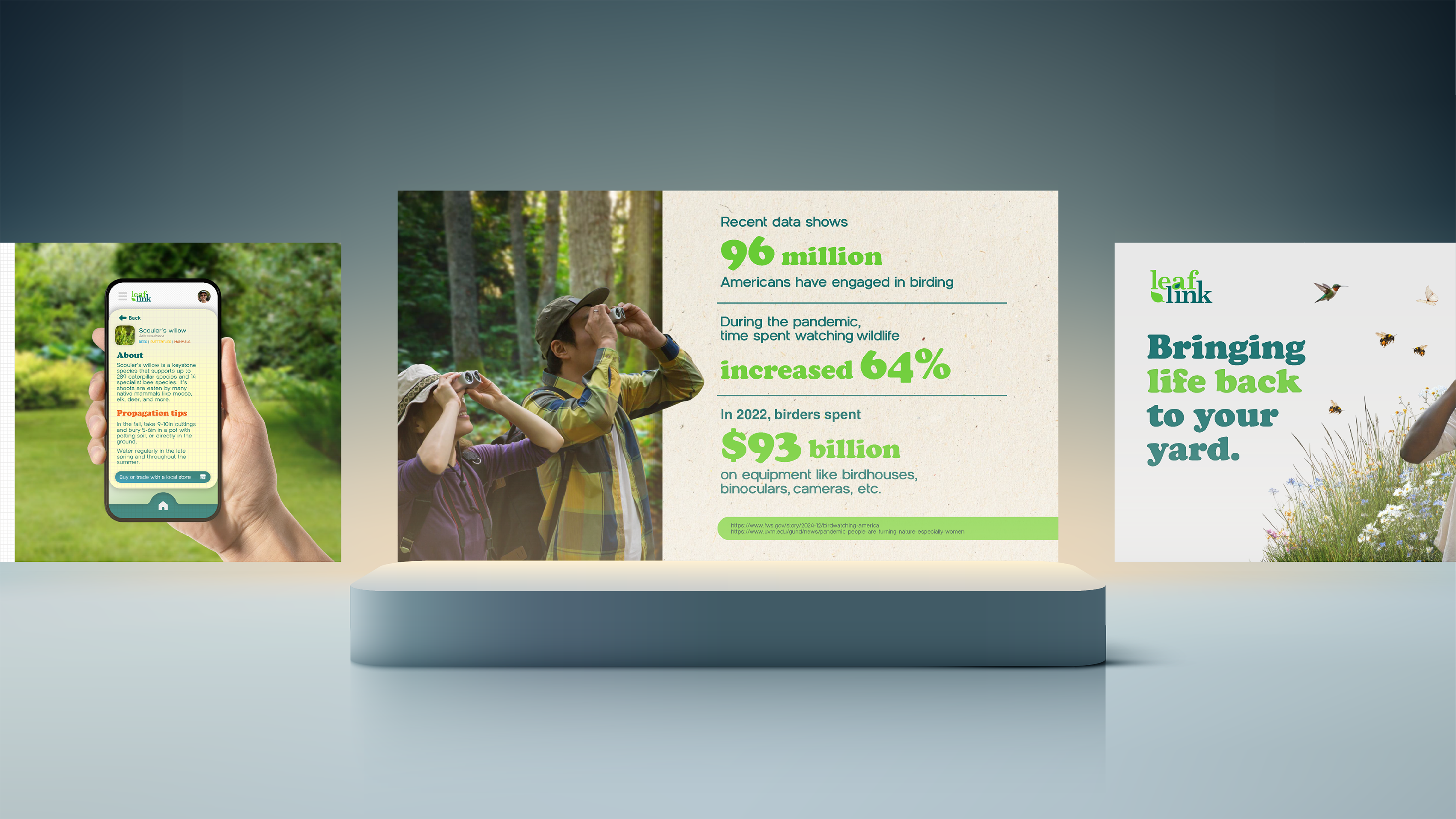 Plant sourcing network brand concept | Slide designs outlining a concept presentation about product | Presentation design portfolio | Silver Fox Productions