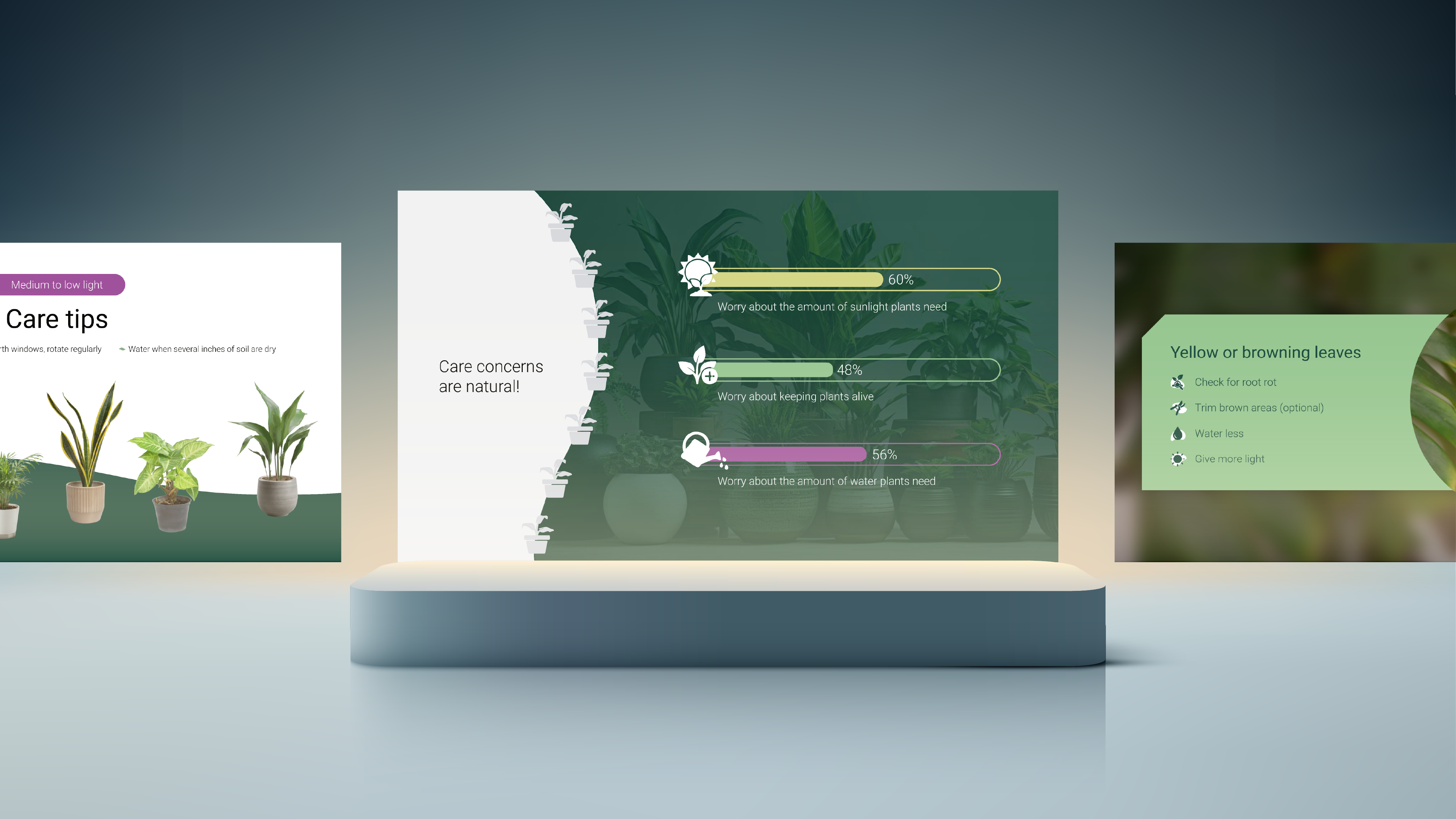 Gardening education brand concept | Slide designs outlining a concept presentation about plant care | Presentation design portfolio | Silver Fox Productions