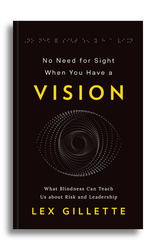 No Need For Sight When You Have A Vision: What blindness can teach you about risk and leadership book cover