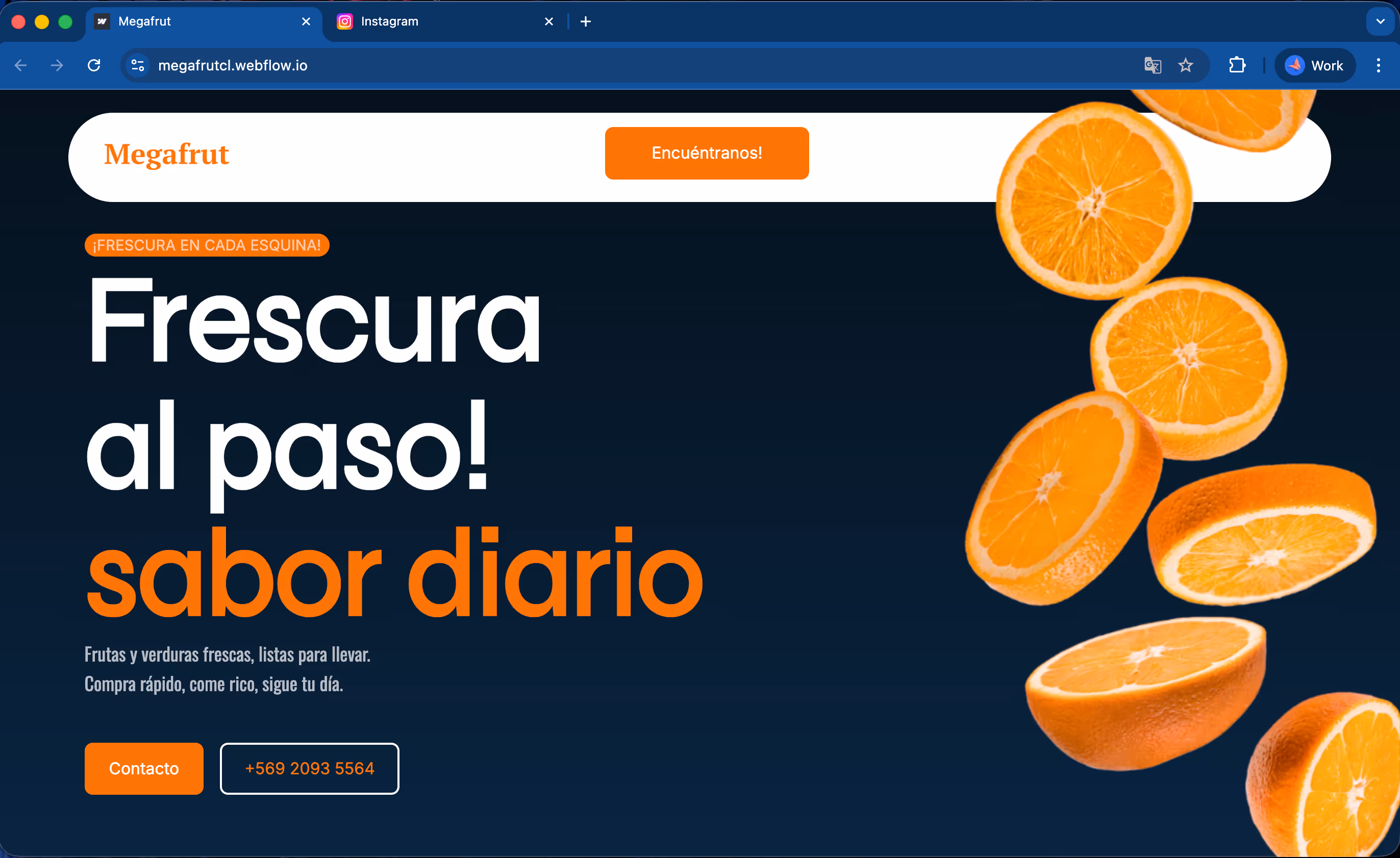 Sitio web de un negocio local en Santiago, Chile