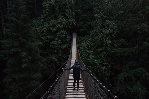 A trip to Lynn Canyon and beyond