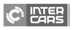 IKI logo