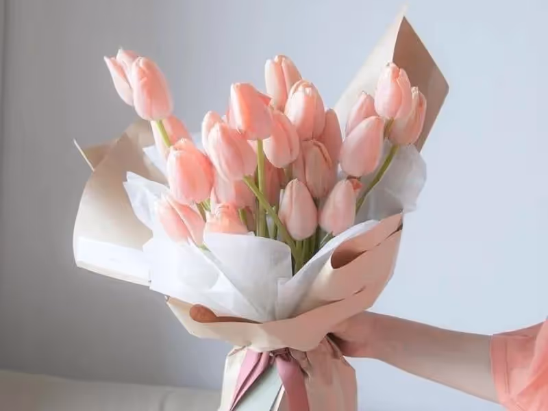 Top 5 Cửa Hàng Hoa Sáp Đường Cách Mạng Tháng 8, Hồ Chí Minh - Đánh Giá Từ Khách Hàng