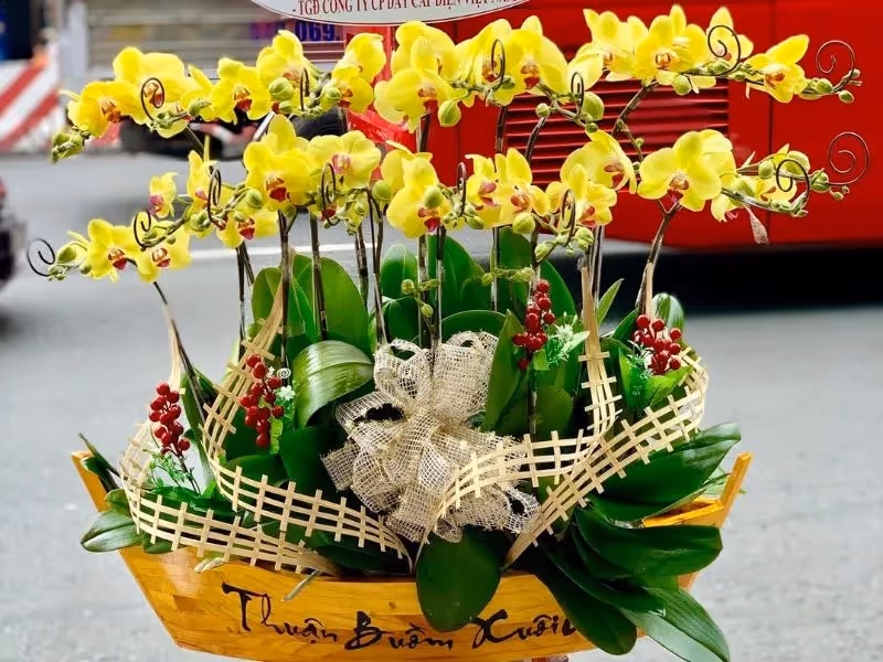 Cửa Hàng Hoa Lan Hồ Điệp Đẹp Bắc Kạn