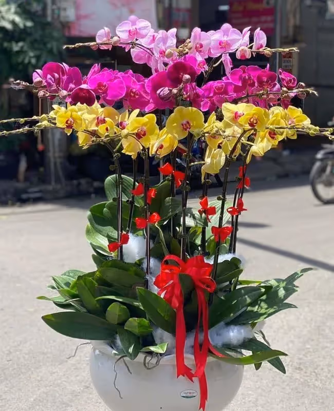 Cửa Hàng Hoa Lan Hồ Điệp Hoa Mãi Mãi Ở Hải Châu, Đà Nẵng
