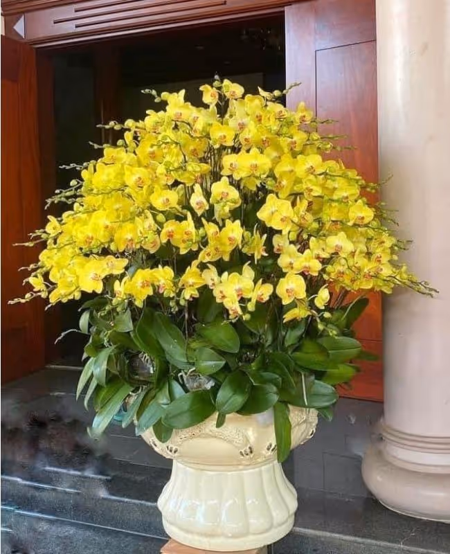 Hoa Kính Lễ Phật Đản 15/4 ÂL