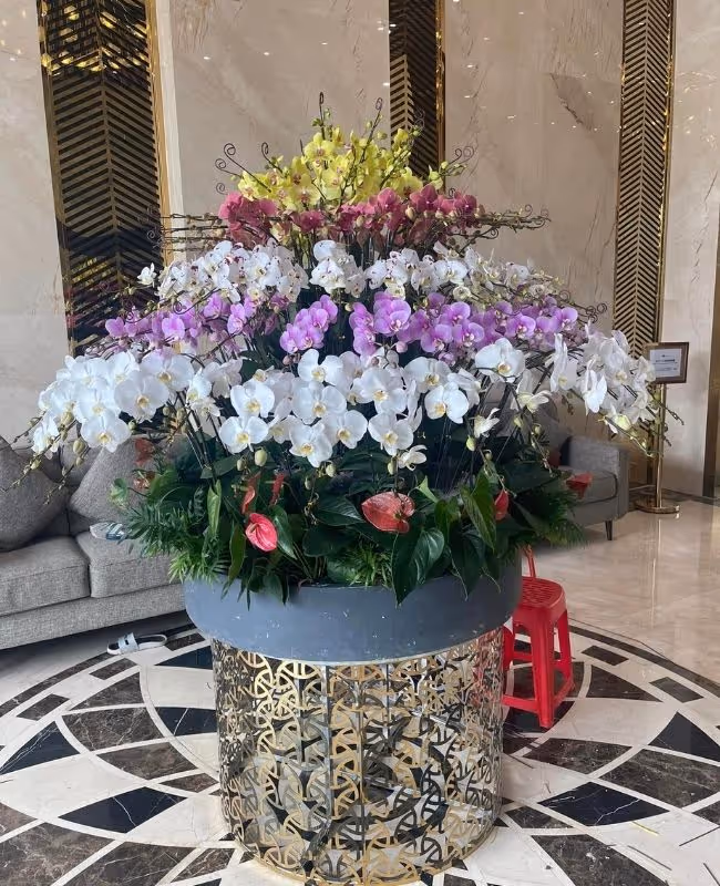 Hoa Tặng Ngày Của Cha 17/6 - +299 Mẫu Hoa