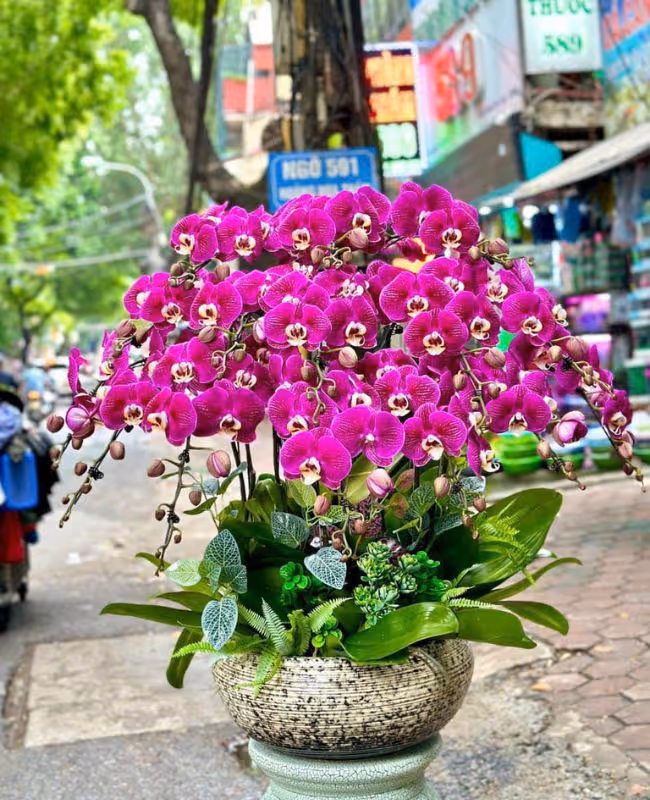 Hoa Tặng Ngày Gia Đình Việt Nam 28/6