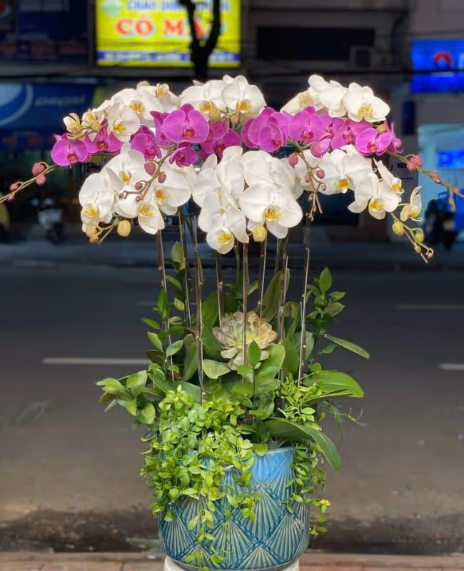 Hoa Tặng Ngày Truyền Thống Lực Lượng Thanh Niên Xung Phong Việt Nam 15/7
