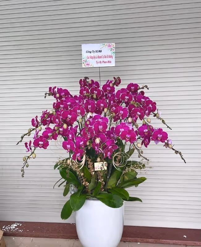 Hoa Tặng Ngày Truyền Thống Luật Sư Việt Nam 10/10