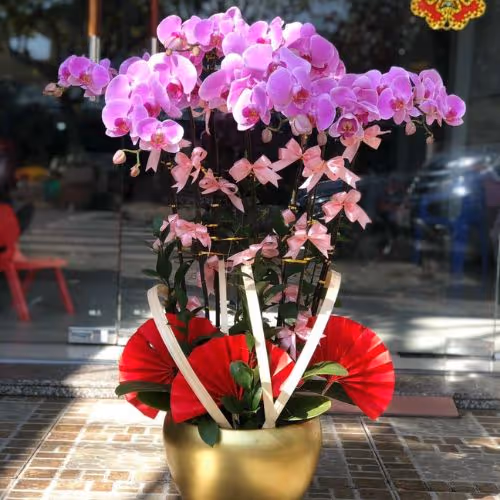 Top 5 Cửa Hàng Lan Hồ Điệp Kim Bôi, Hòa Bình - Đánh Giá Từ Khách Hàng