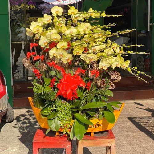 Top 5 Cửa Hàng Lan Hồ Điệp Văn Lâm, Hưng Yên - Đánh Giá Từ Khách Hàng