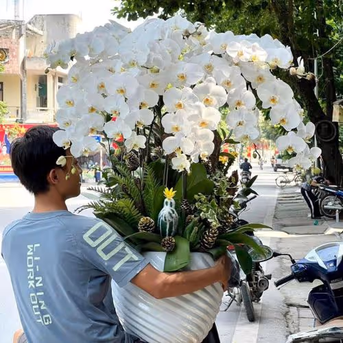Top 5 Cửa Hàng Lan Hồ Điệp Đắk Tô, Kon Tum - Đánh Giá Từ Khách Hàng