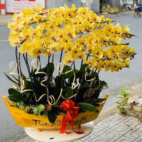 Top 5 Cửa Hàng Lan Hồ Điệp Phú Giáo, Bình Dương - Đánh Giá Từ Khách Hàng