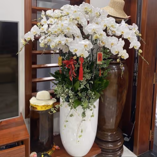 Top 5 Cửa Hàng Lan Hồ Điệp Trà Lĩnh, Cao Bằng - Đánh Giá Từ Khách Hàng