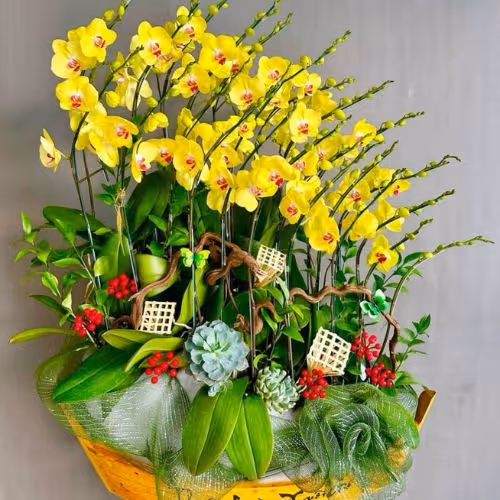 Top 5 Cửa Hàng Lan Hồ Điệp Vĩnh Hưng, Long An - Đánh Giá Từ Khách Hàng