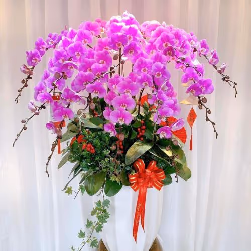 Top 5 Cửa Hàng Lan Hồ Điệp Cần Đước, Long An - Đánh Giá Từ Khách Hàng