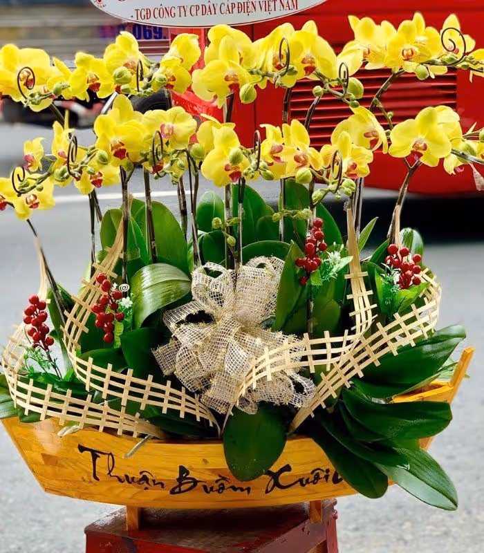 Top 5 Cửa Hàng Lan Hồ Điệp Ayun Pa, Gia Lai - Đánh Giá Từ Khách Hàng