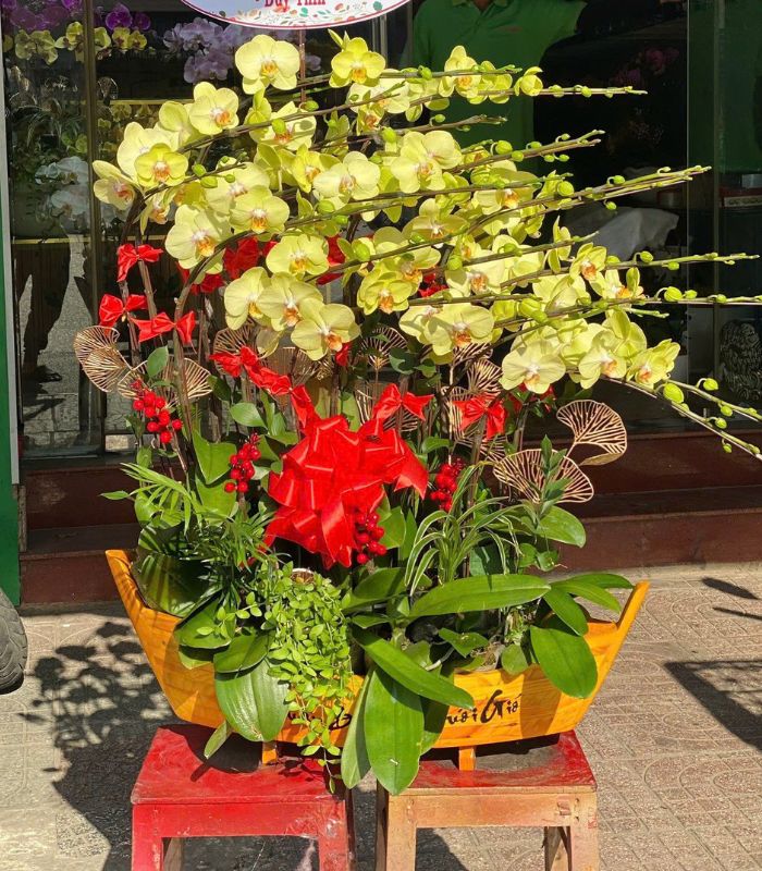 Danh Sách Shop Lan Hồ Điệp Huyện Vĩnh Linh, Quảng Trị - Đánh Giá Từ Khách Hàng