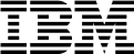 IBM logo in black capital letters.