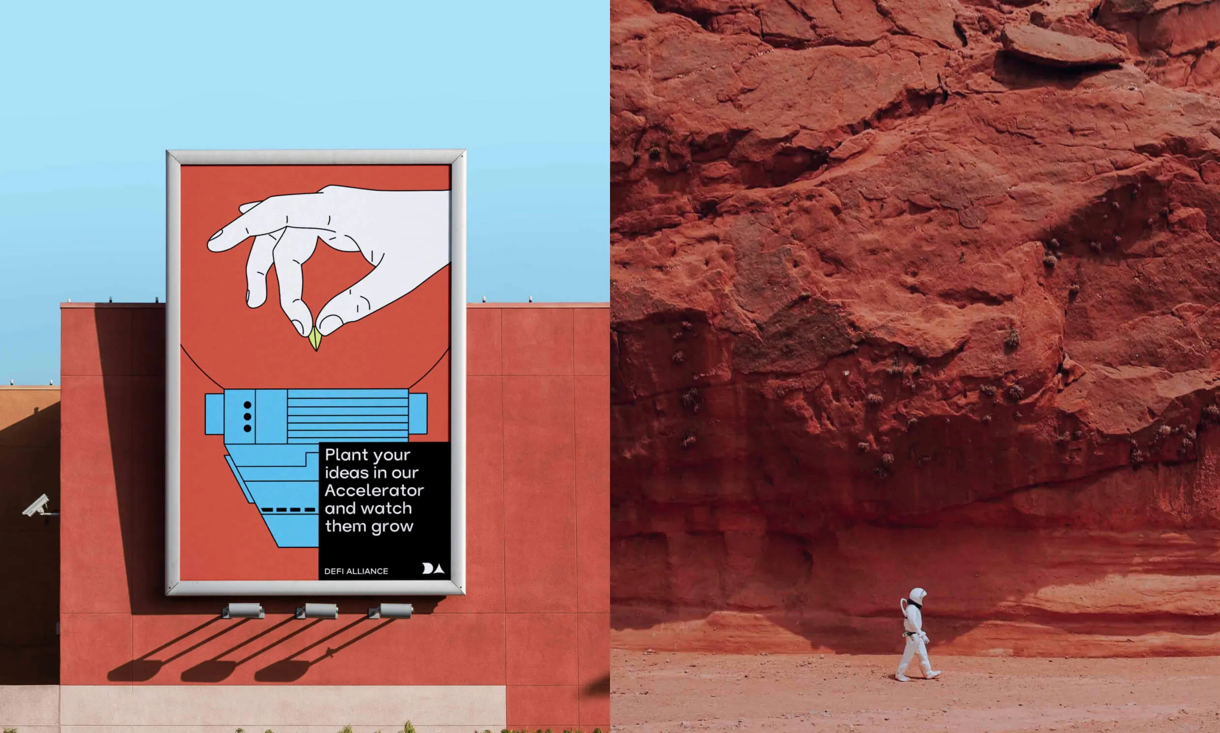 DeFi Alliance: Accelerator Program That Helps Startups Grow