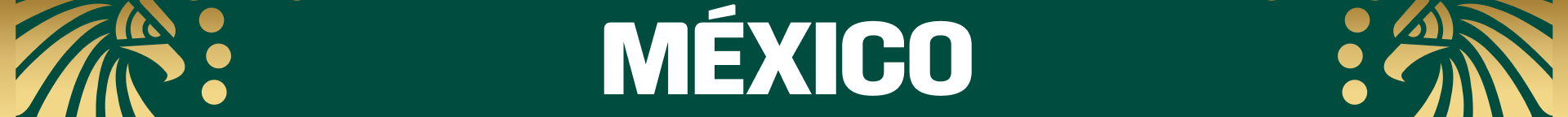 MEXICO stadium LED artwork 2