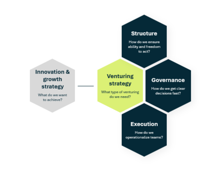 The Venture Operating Model