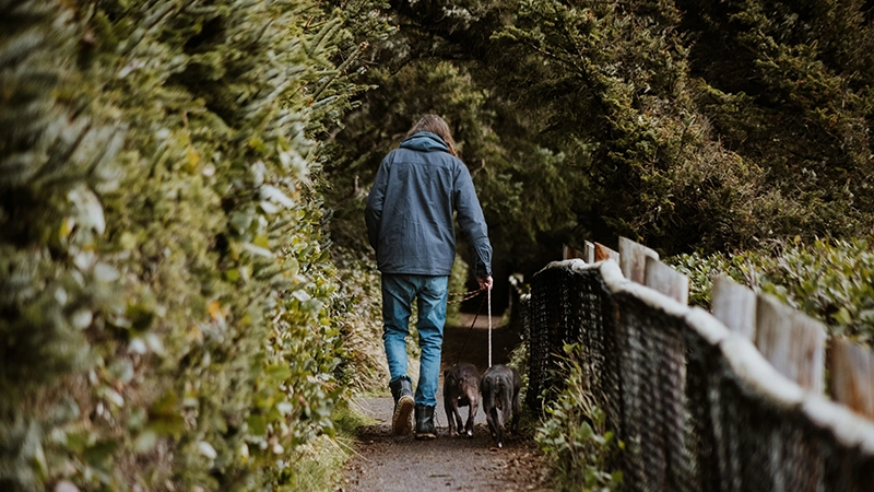 man walking dog in the woods next to a fence on a dirt path