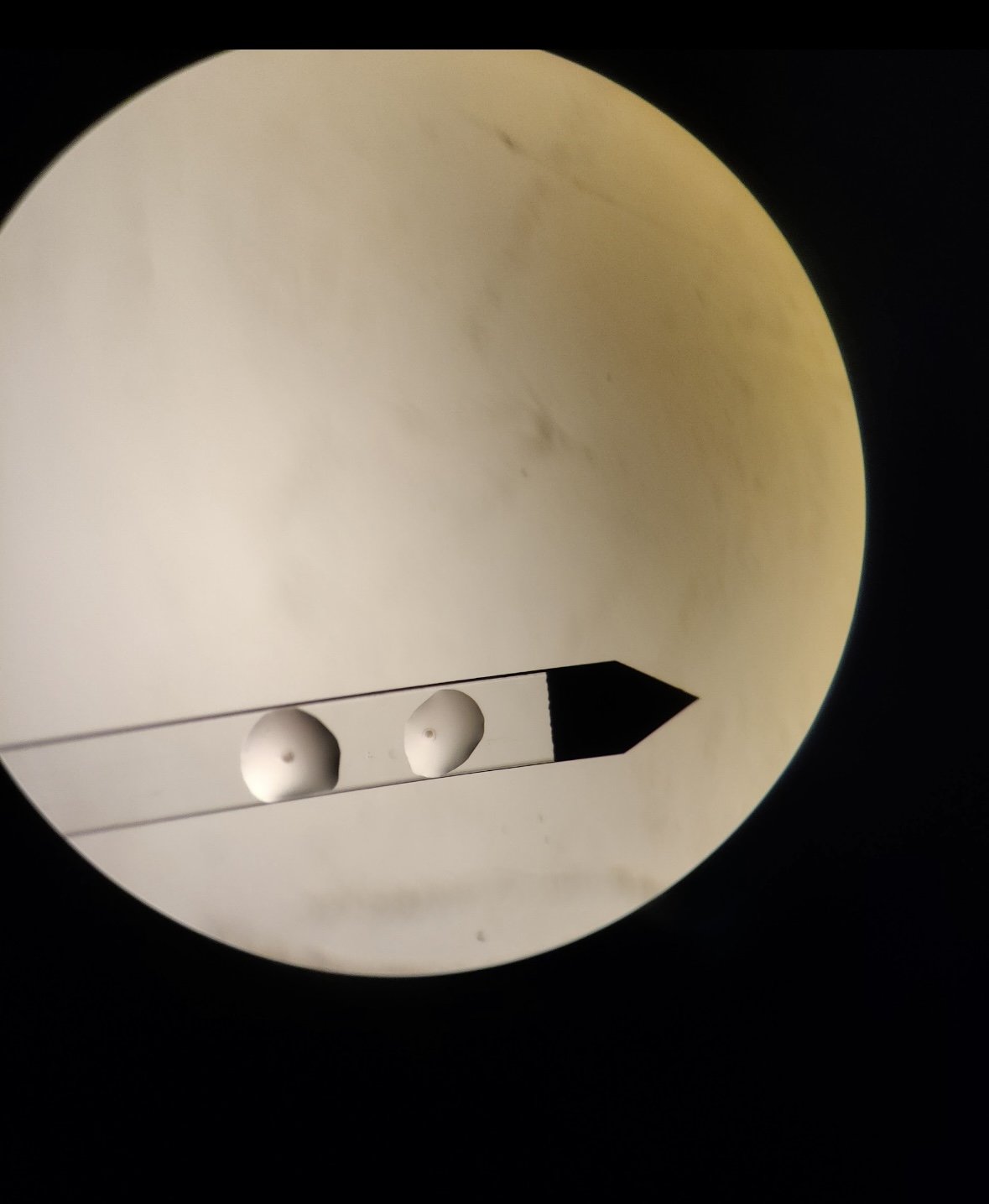 Freezing eggs on cryolock