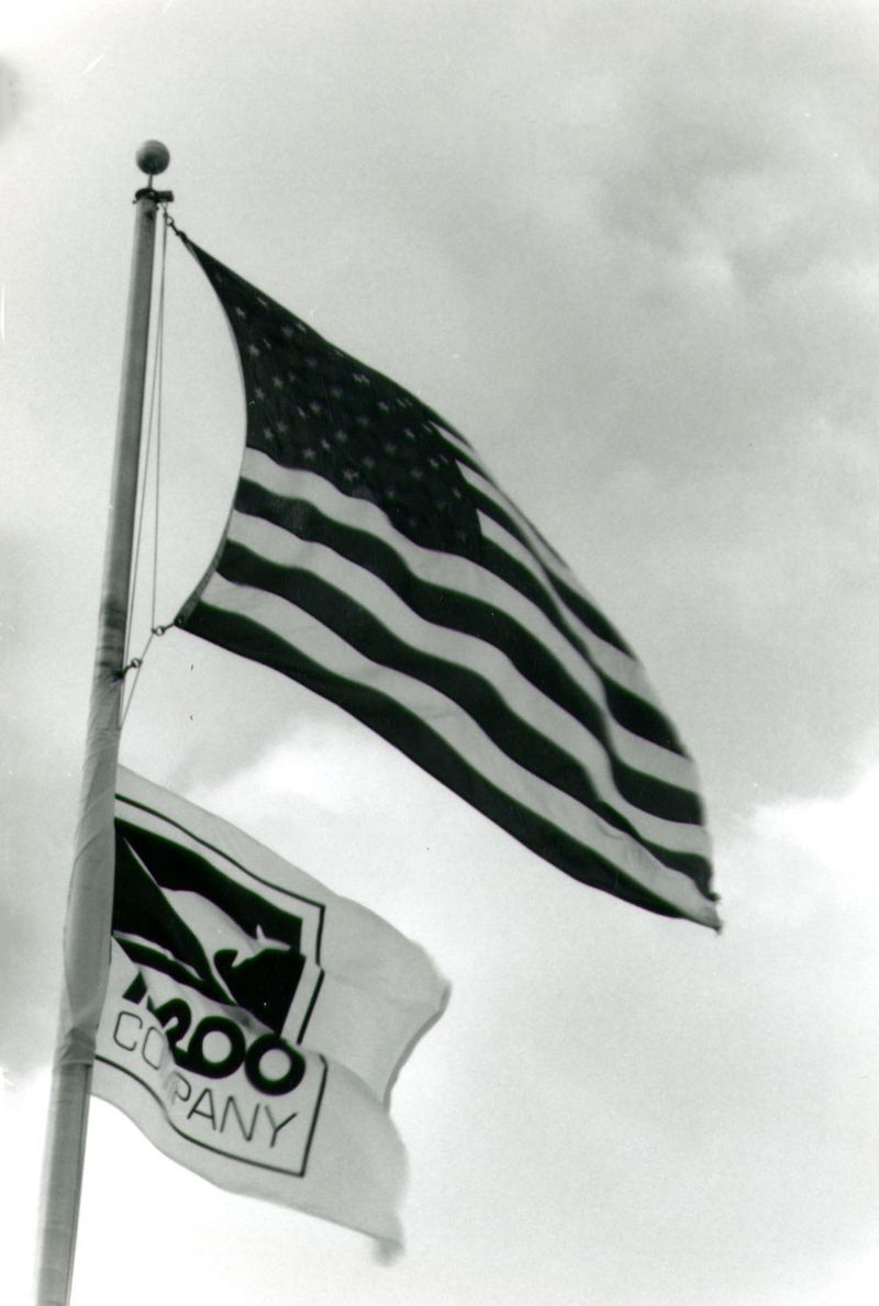 A·ROO Company's Story