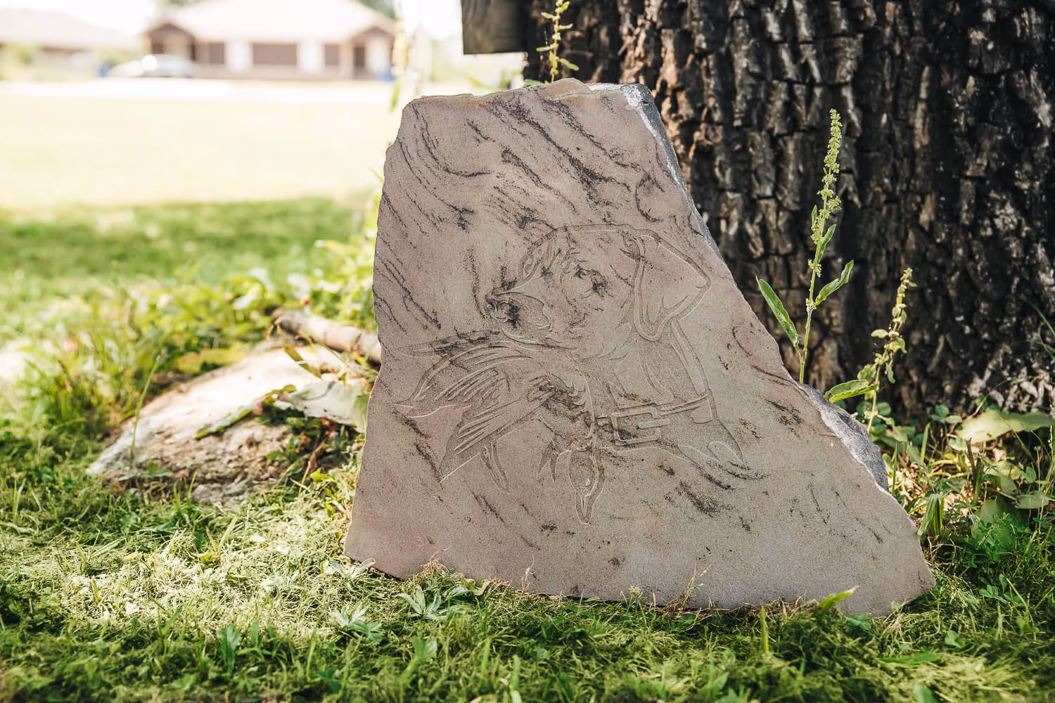 Engraved Stone with dog design