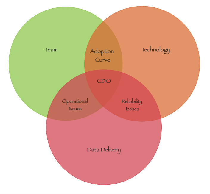 The role of the new Chief Data Officer (CDO)