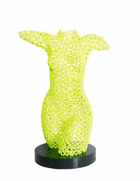 FEMALE TORSO