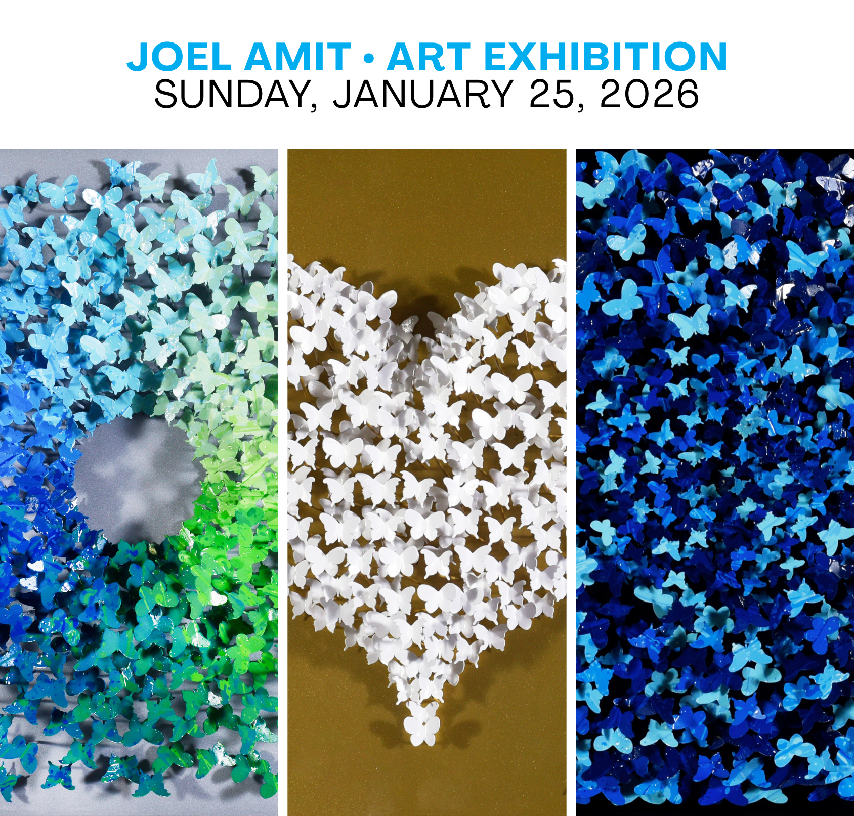 JOEL AMIT ART EXHIBITION