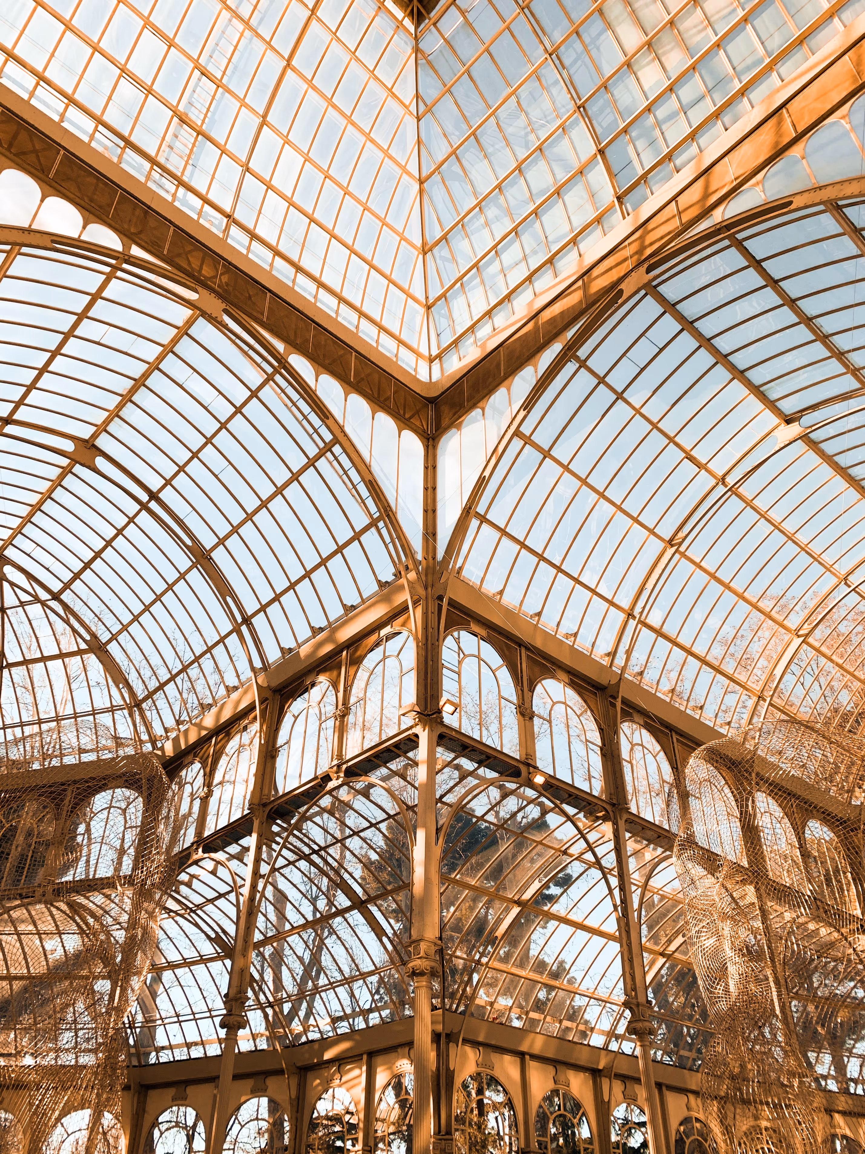 Golden-toned glass and metal greenhouse ceiling with arched windows and visible trees outside.