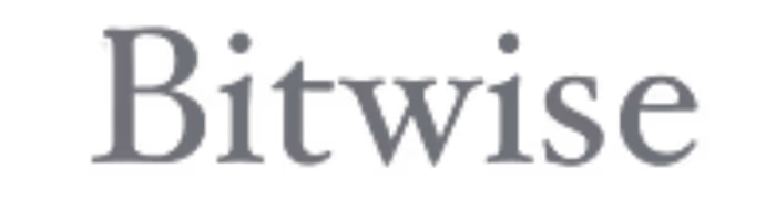 The word 'Bitwise' in a gray serif font on a transparent background.