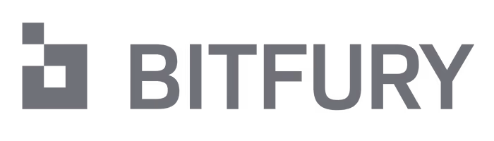 Bitfury company logo with a stylized block symbol to the left of the word BITFURY.