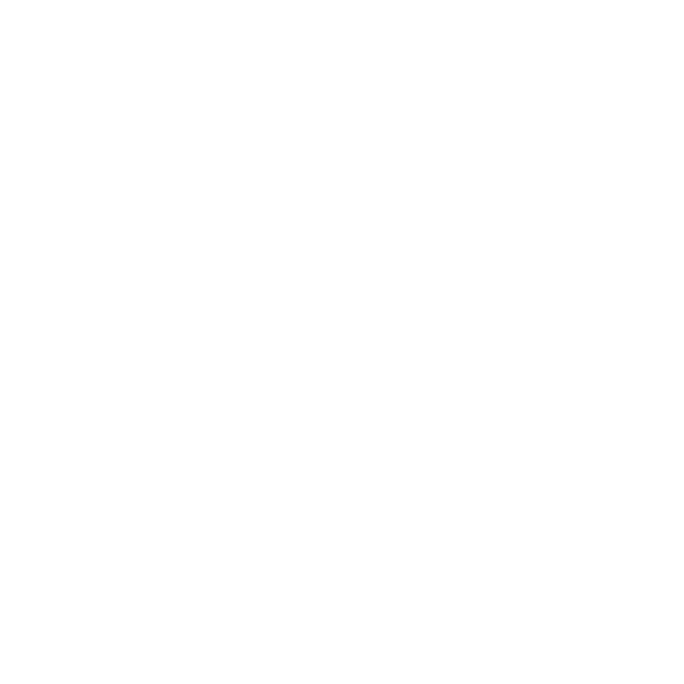 Siempre alerta seguridad