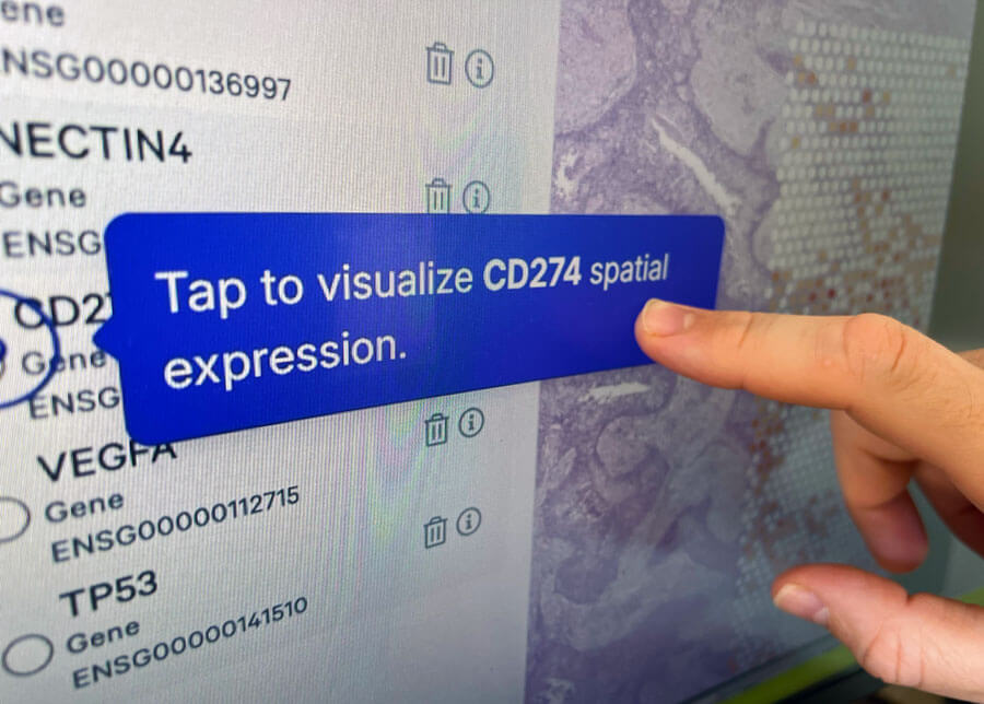 Interactive touchscreen demo