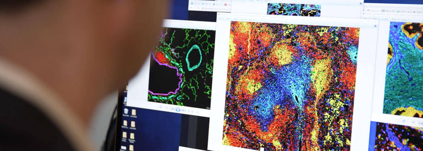 Demonstrating MOSAIC Spatial Omics