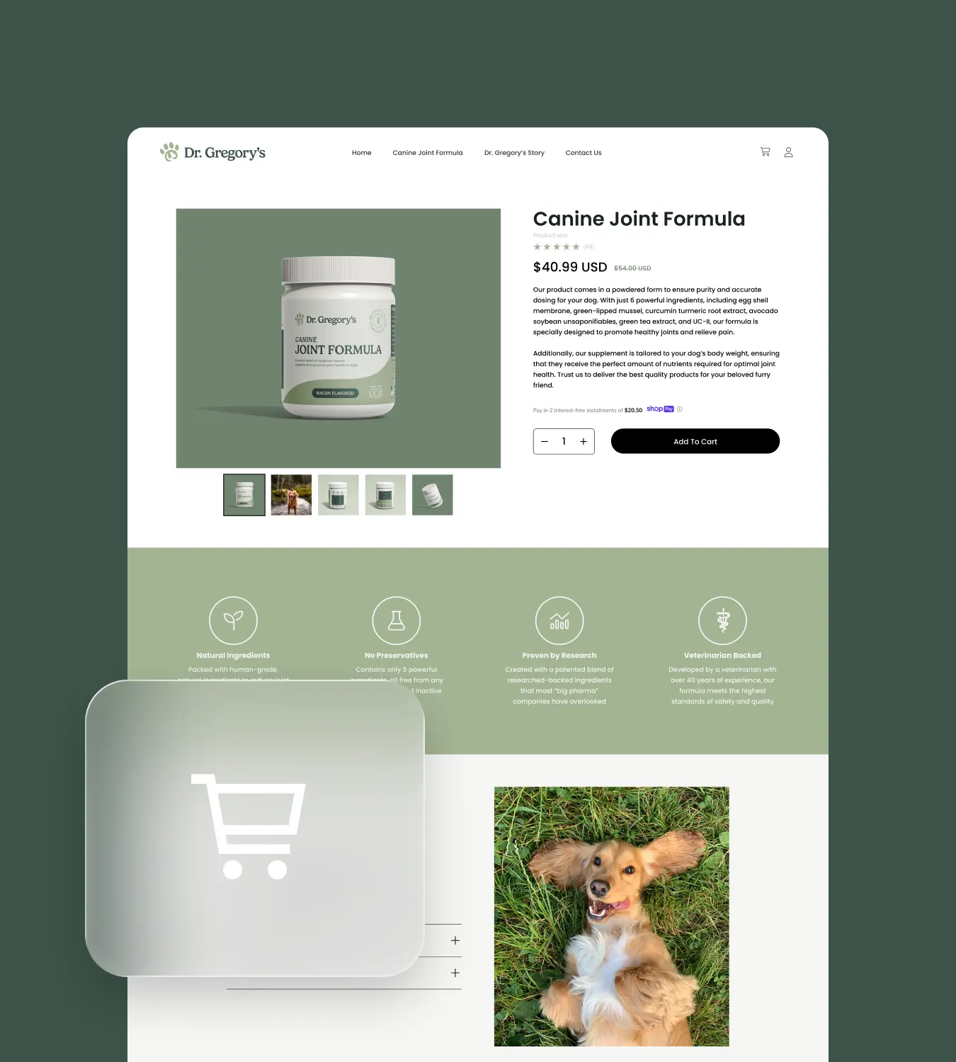 Product page for Dr. Gregory's Canine Joint Formula showing the supplement jar, price, description, icons for natural ingredients, no preservatives, research-backed, veterinarian-backed, and a photo of a happy dog lying on grass.