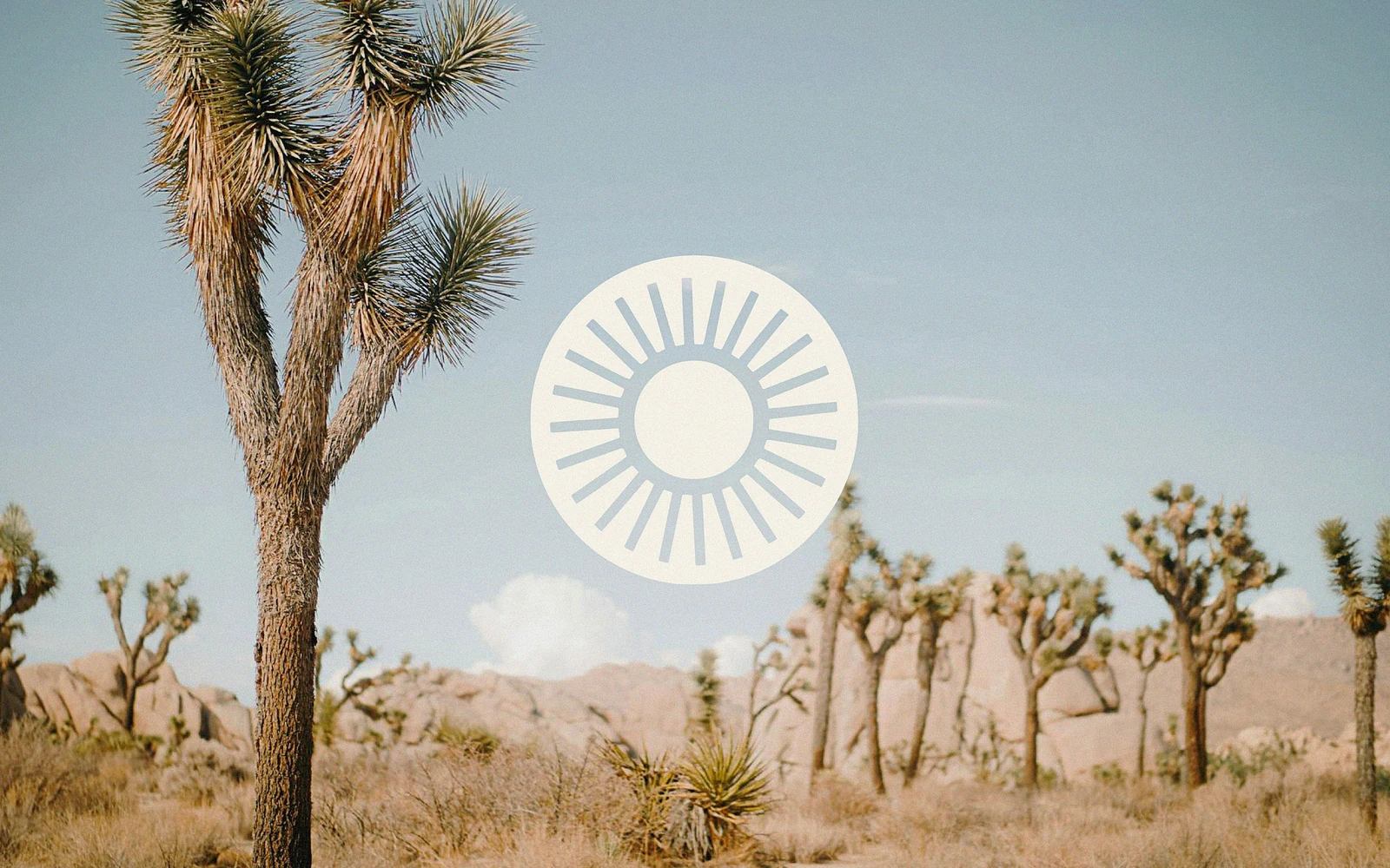 White radial emblem over a desert photograph with Joshua trees.