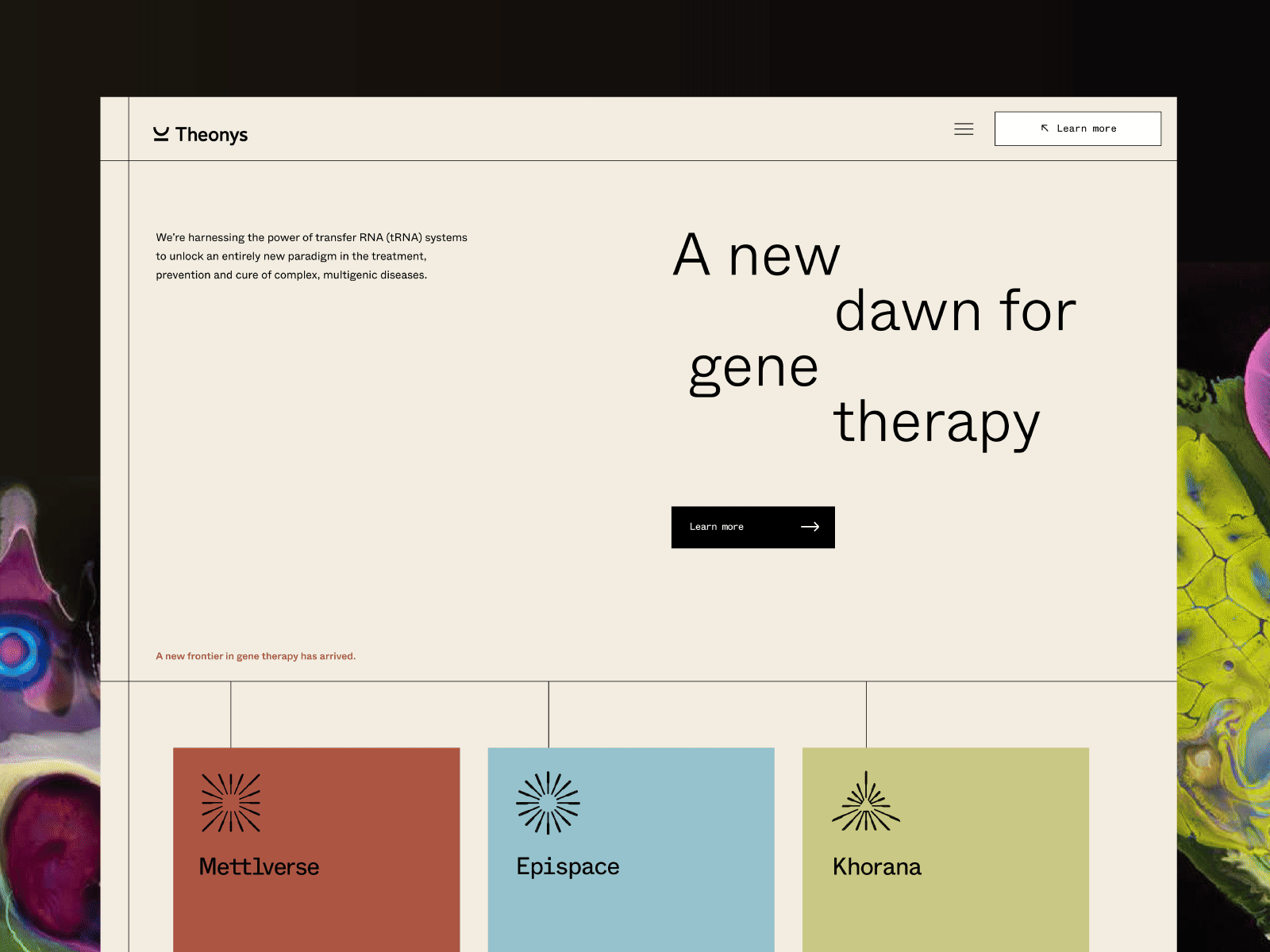 Theonys explorations: website concept, colorful sub-brand cards, and radial logos on matching full-frame backgrounds.