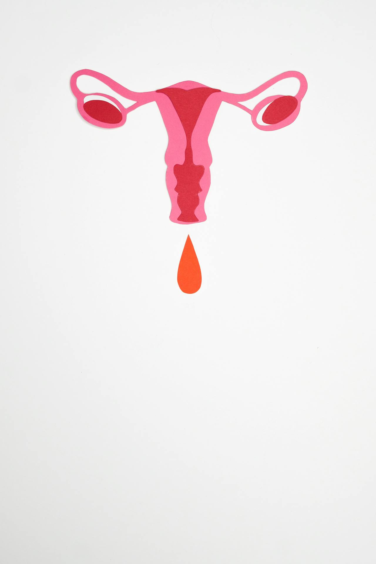 Changes to Cervical Screening (authored by PozHet)