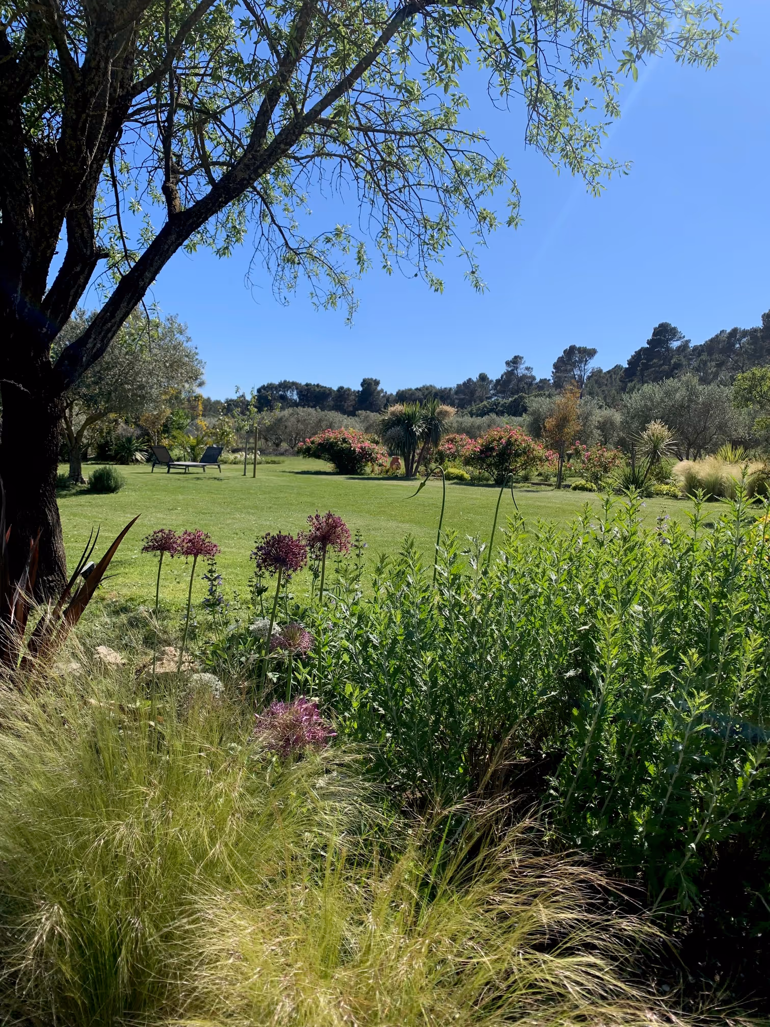 LES ALPILLES