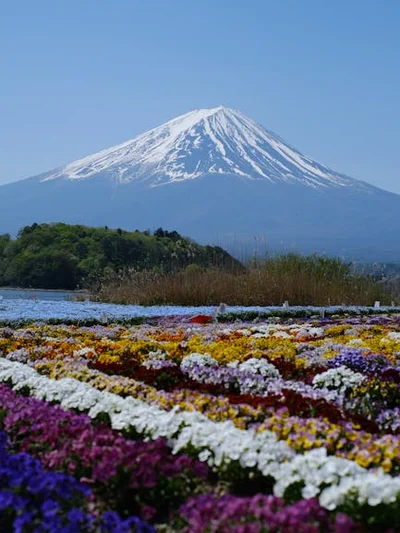 Monte Fuji