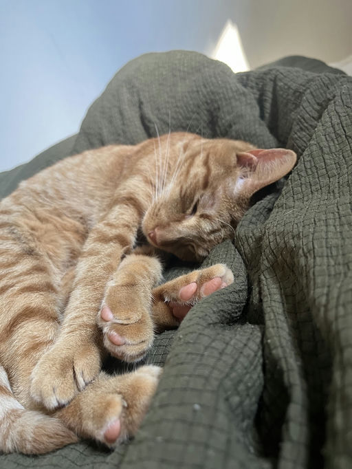 photo of Kevin