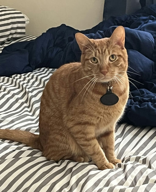 photo of Kevin