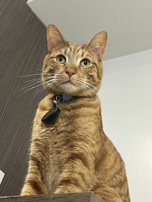 photo of Kevin
