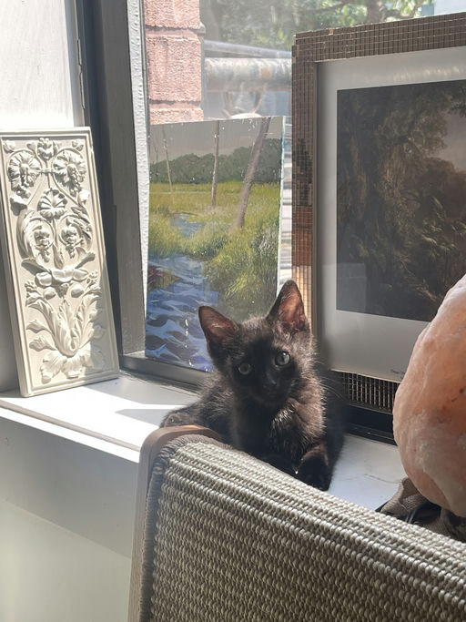 photo of Prada